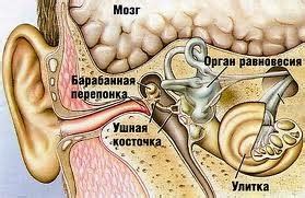 Боль в ушном суставе - причины, симптомы и лечение